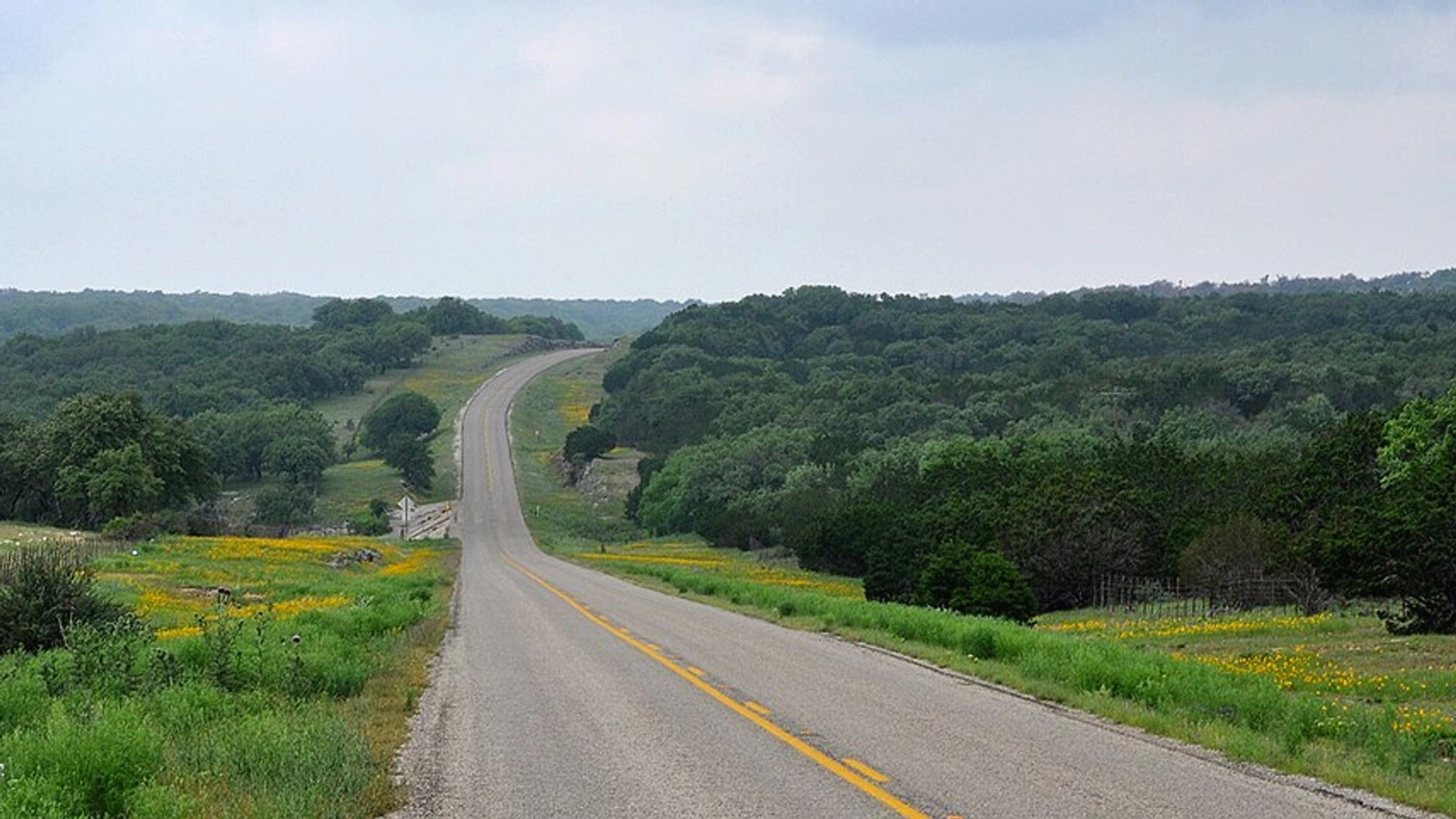 Open Texas land access road near Montgomery County
