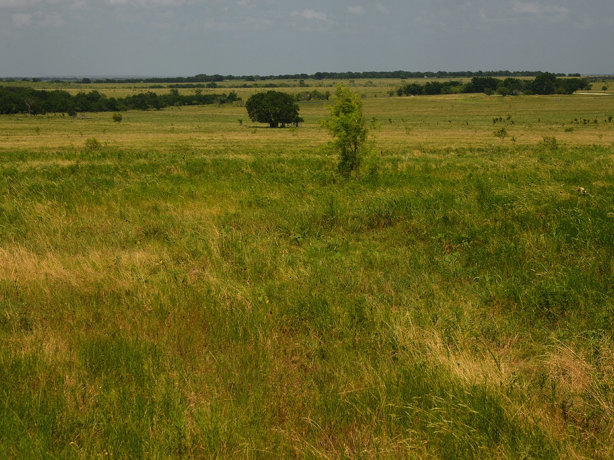 Ranch Acreage in Denton County