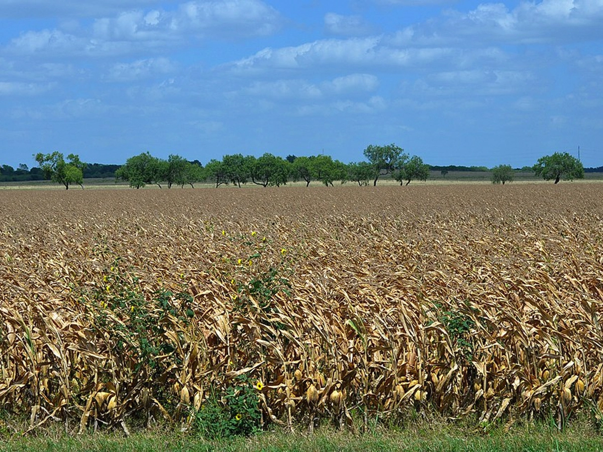 Vacant Lots in Denton County